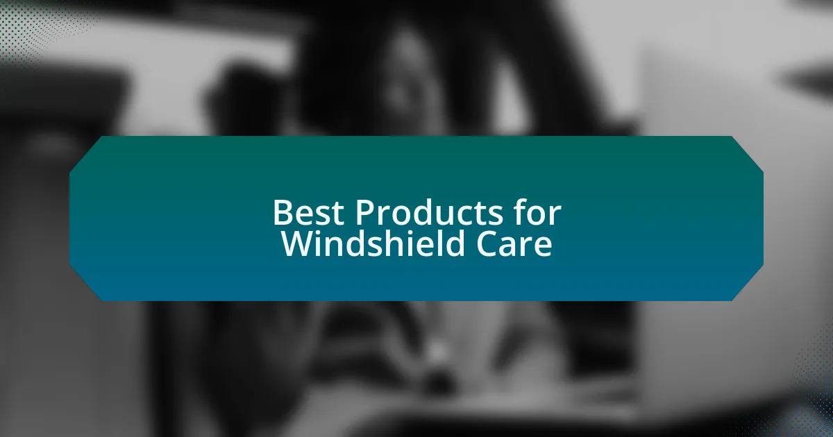 Best Products for Windshield Care