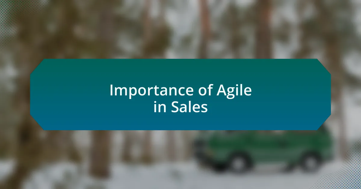 Importance of Agile in Sales