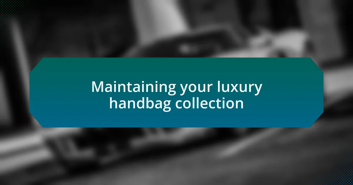 Maintaining your luxury handbag collection
