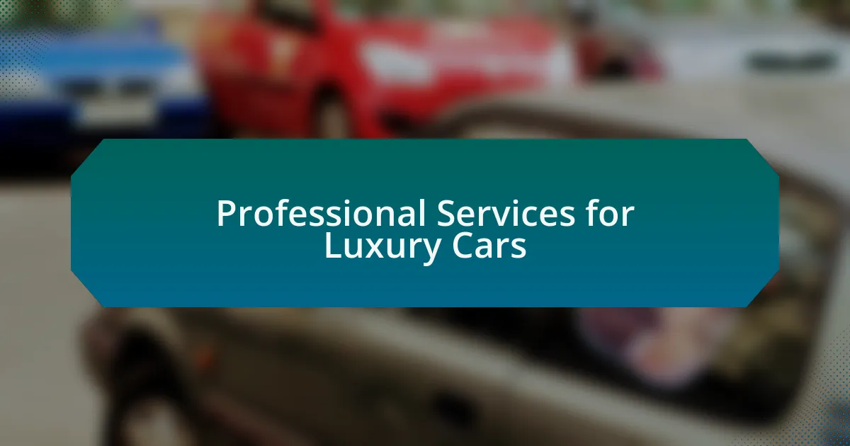 Professional Services for Luxury Cars