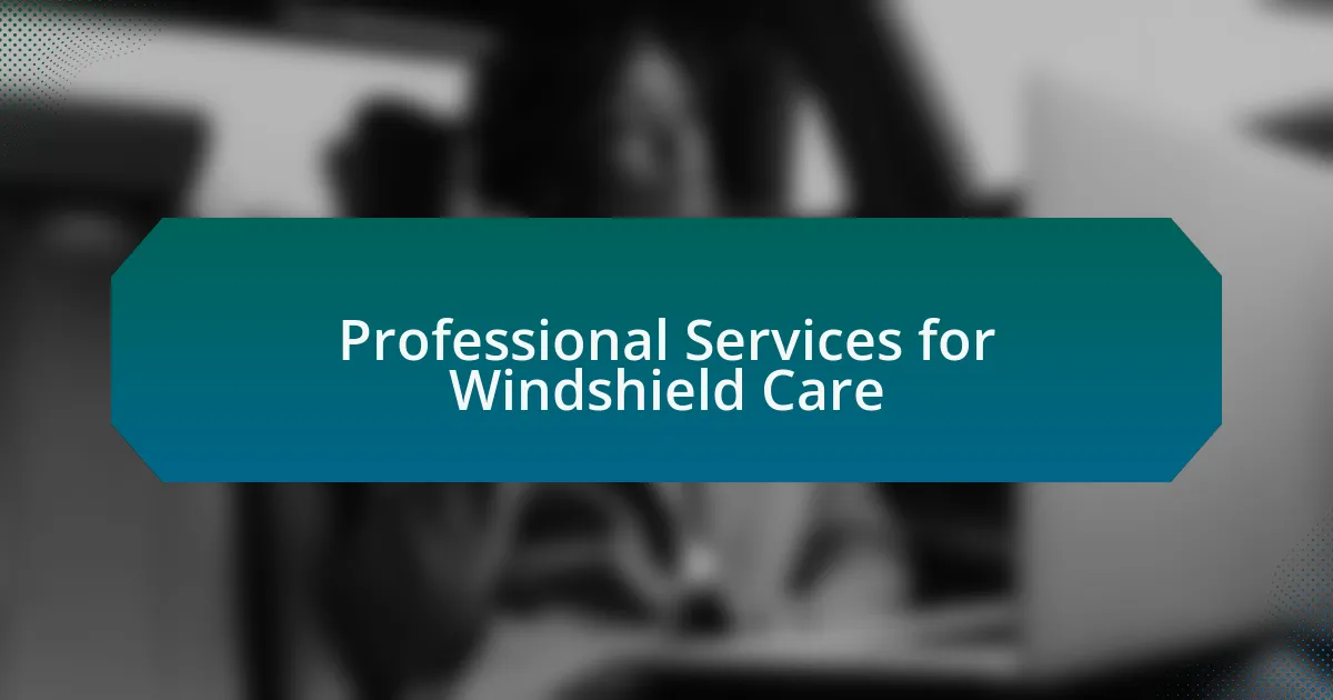 Professional Services for Windshield Care