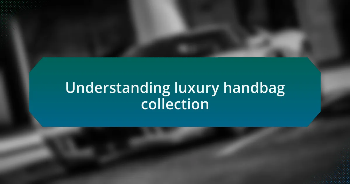 Understanding luxury handbag collection