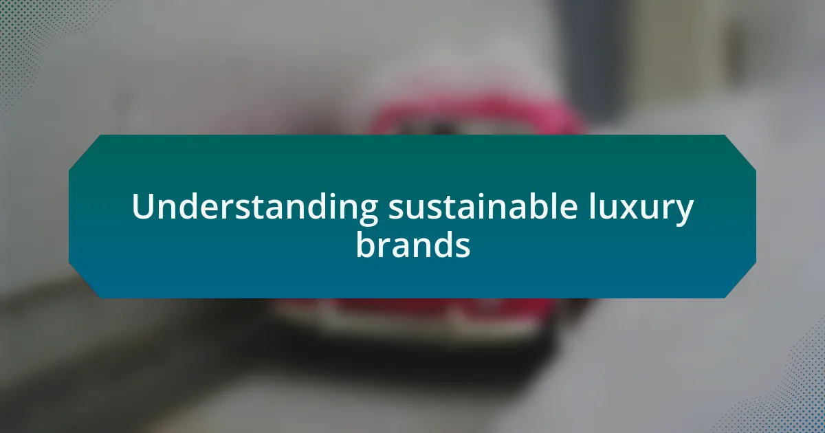 Understanding sustainable luxury brands